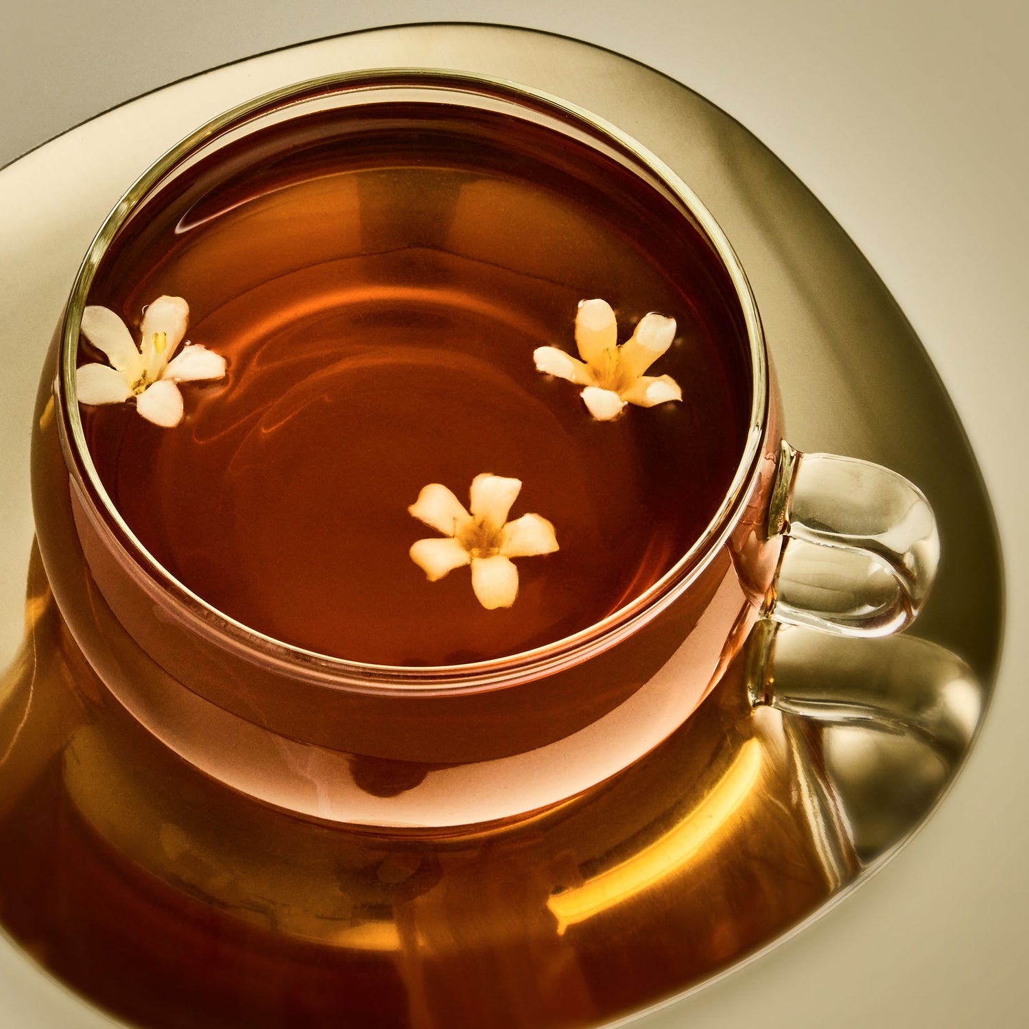 Tea 101 with Rishi Tea & Tabal Chocolate SOLD OUT