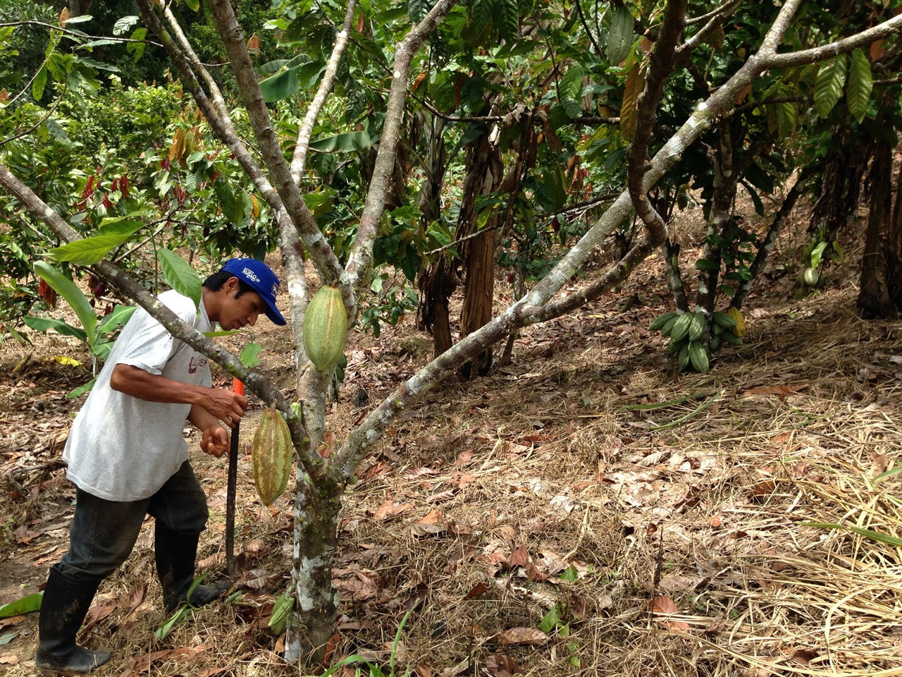 PERU - PIURA WHITE 70%