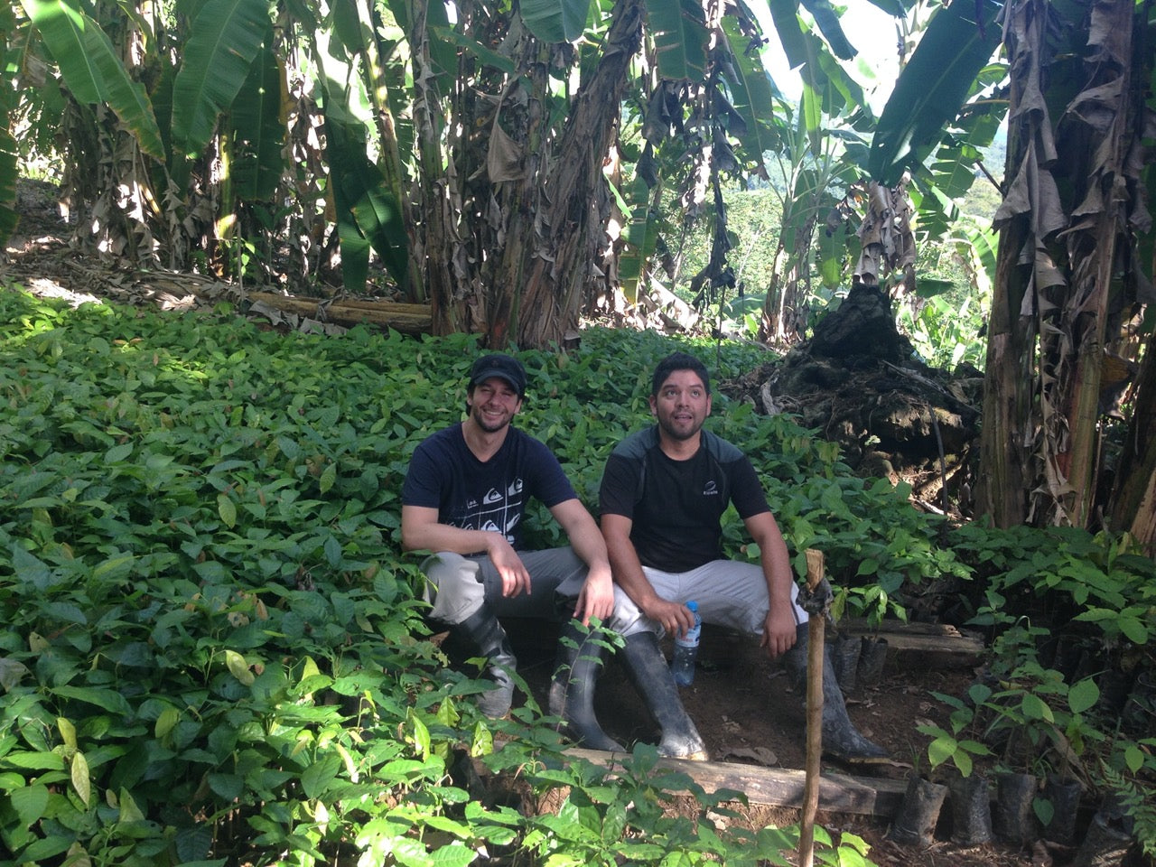 PERU - PIURA WHITE 70%