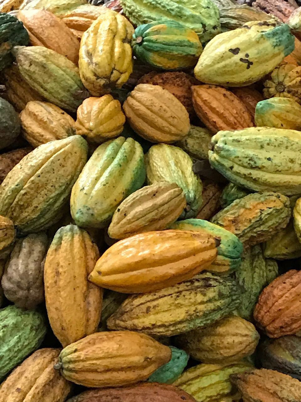 PERU - PIURA WHITE 70%