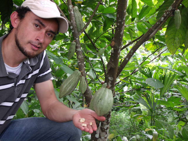 Where does cacao come from? (Videos)
