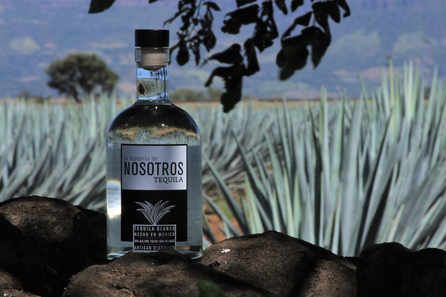 CHOCOLATE & TEQUILA TASTING CLASS