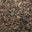 logo of CHOCOLATE & CACAO PRODUCTS WITH INTENTION
 – Tabal Chocolate & Cacao Products With Intention