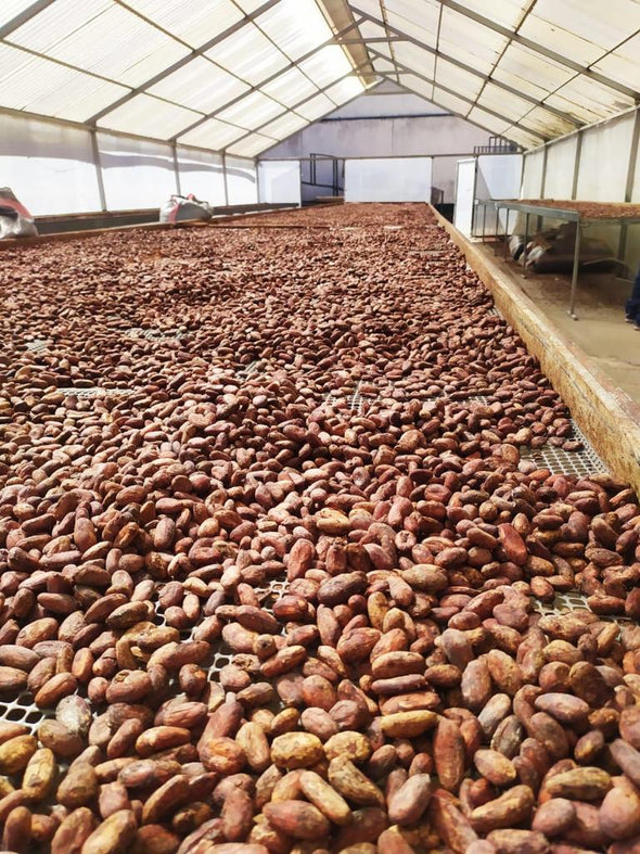 CHUNCHO, PERU 70%