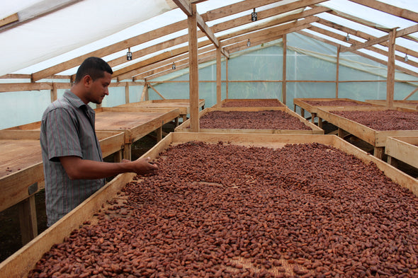 CACAO BEANS & CACAO LIQUOR